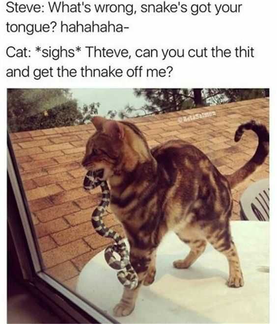 Funny Snake Off Me