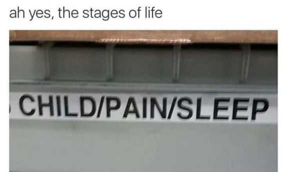 Funny Stages Of Life