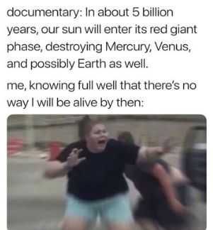 Funny Sun 5 Will