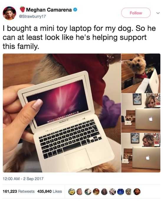 Funny Suporting His Family