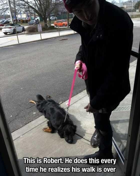 Funny Walk Is Over