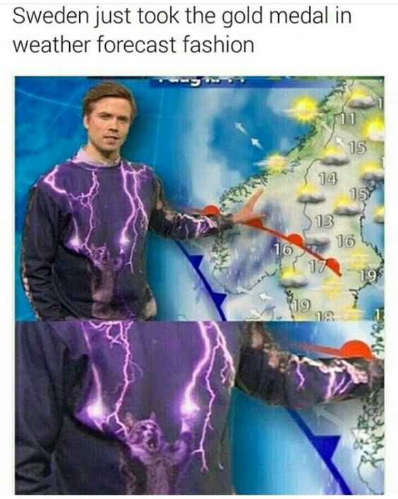 Funny Weather Cat