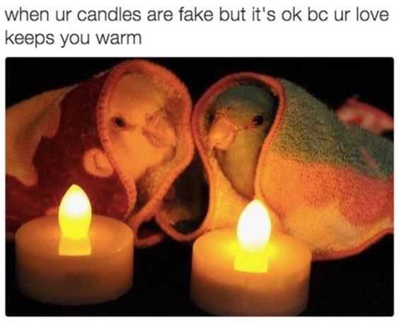 Funny Wholesome Love
