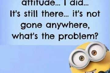 Minion Attitude Gone