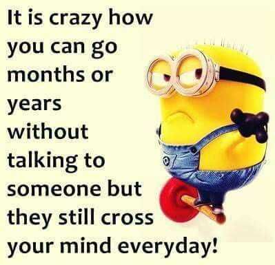 Minion Cross Your Mind