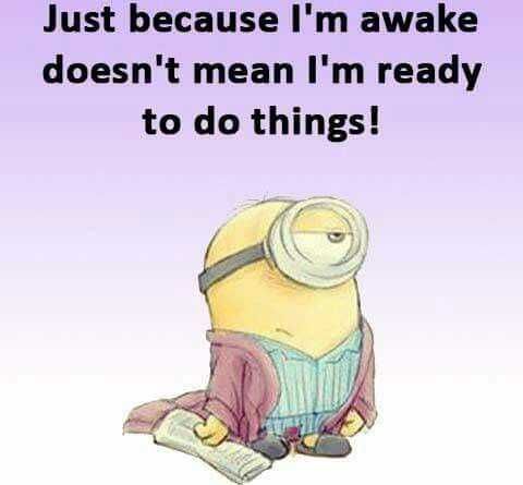 Minion Do Things