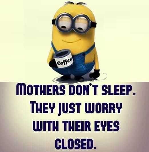Minion Dont Worry