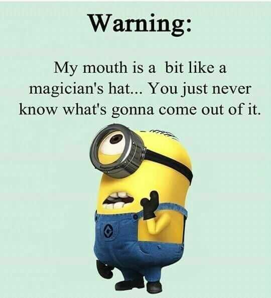 Minion Magician Hat