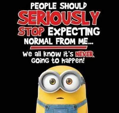 Minion Never Happen