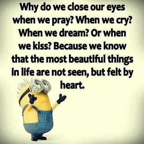 Minion Why Close