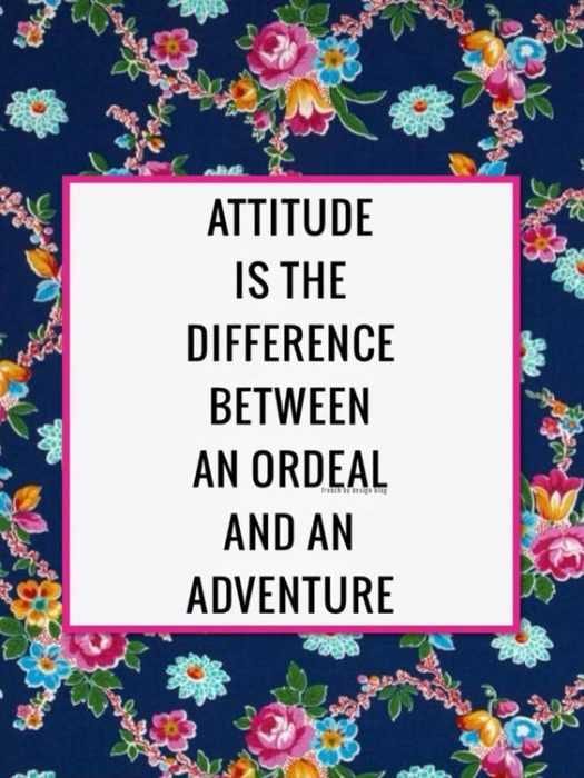 Quote Attitude