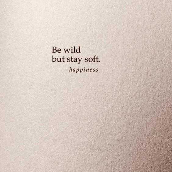 Quote Be Wild