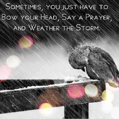 Quote Dont Bow Prayer