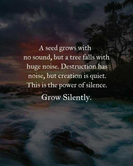 Quote Grow Seed