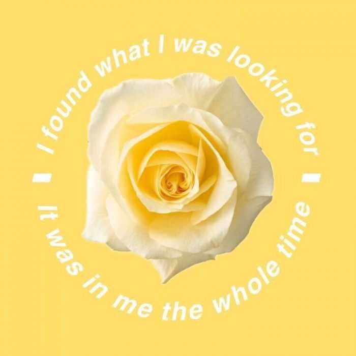 Quote In Me Whole Time