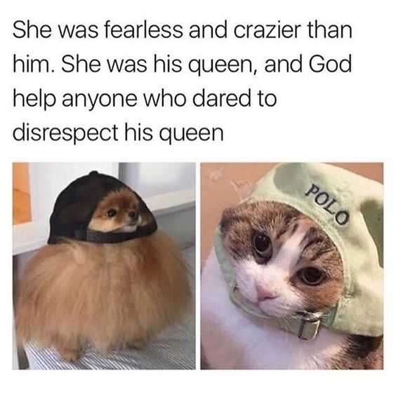 Quote Respect His Queen