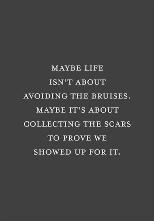 Quote Sometimes Collecting Bruises