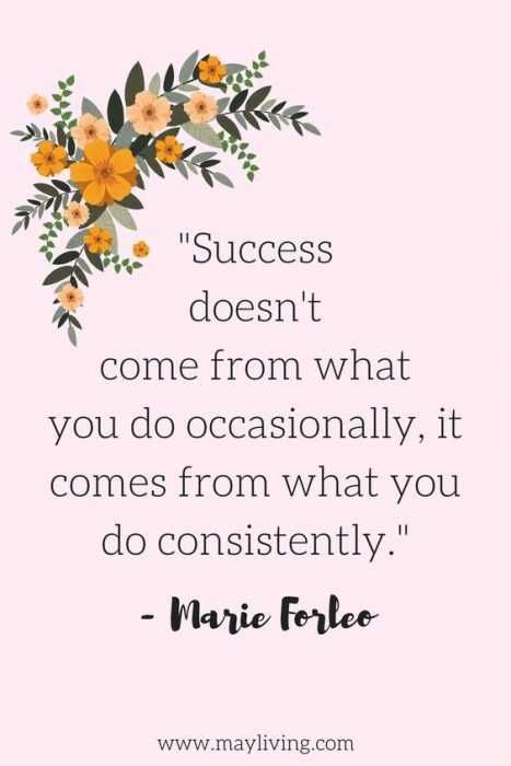 Quote Success Dont Come