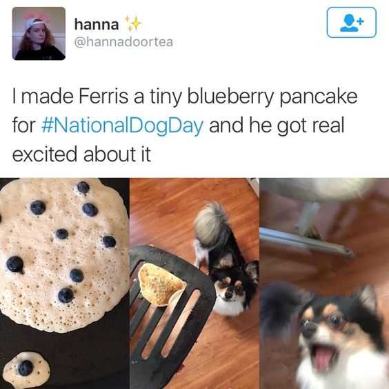 Tiny Pancake