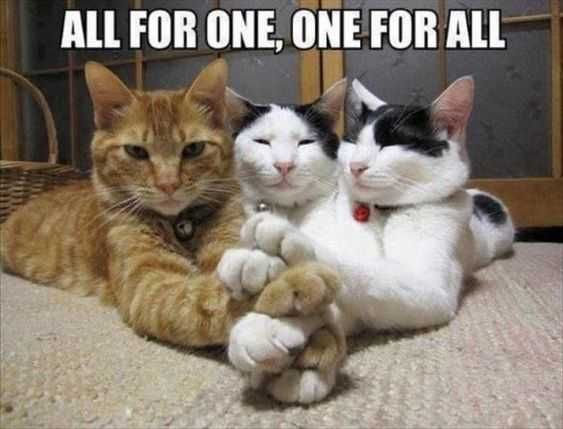 Ufnny All For One