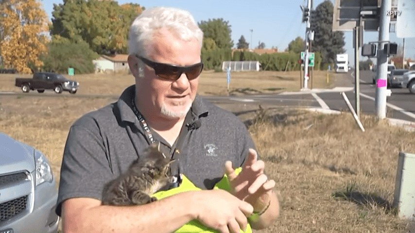 5 Week Old Kitten Named Sticky Found Glued To Busy Oregon Road 0 16 Screenshot