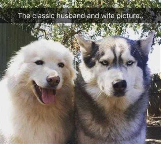 Animal Wife Picture