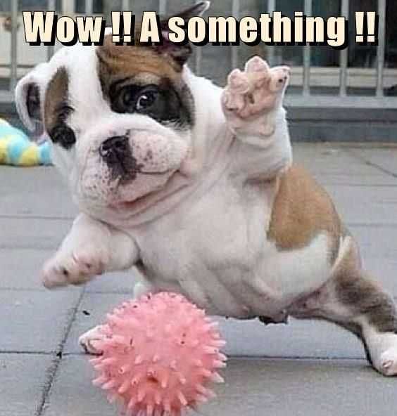 Funny A Something
