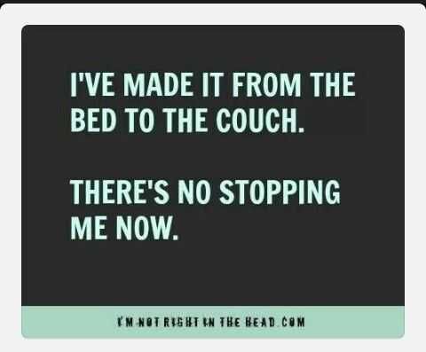 Funny Bed Couch