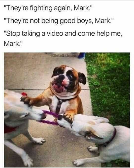 Funny Being Good Boys