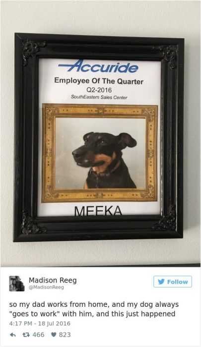 Funny Employee