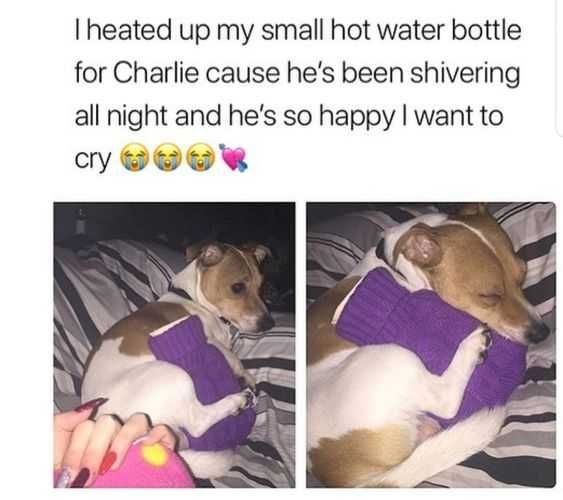 Funny He Happy