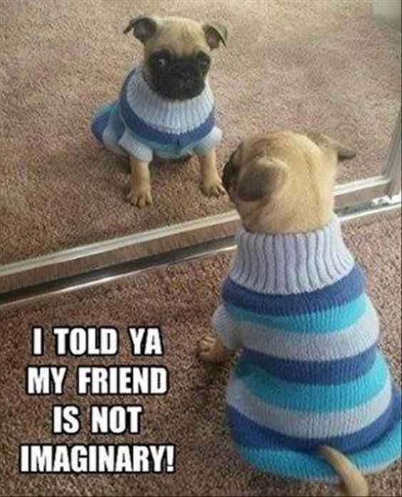 Funny Imaginary
