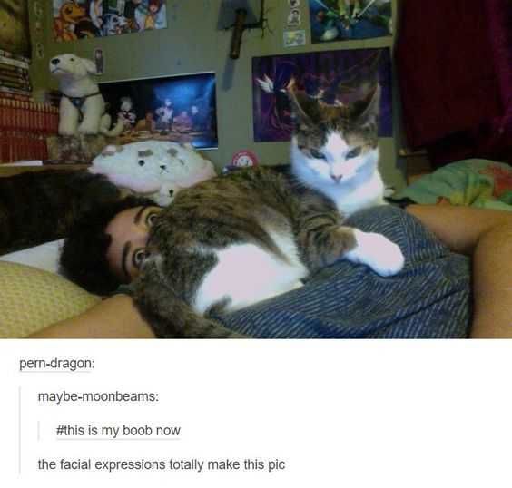 Funny Mine Now