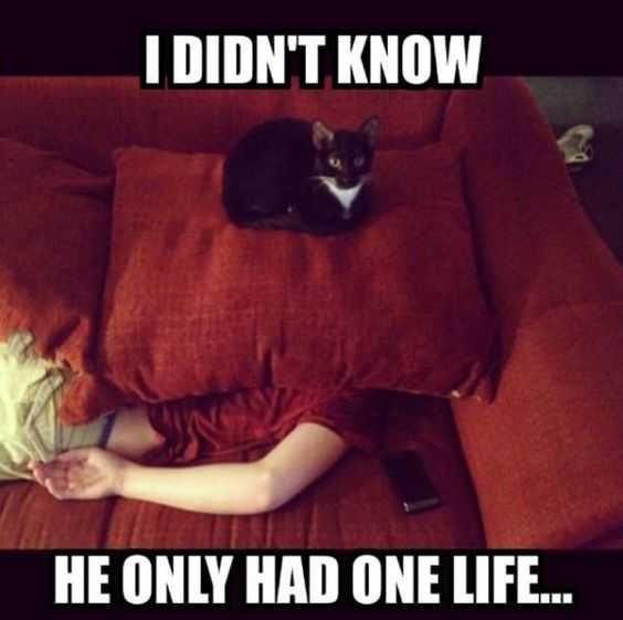 Funny One Life