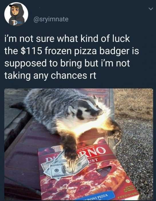 Funny Pizza Badget