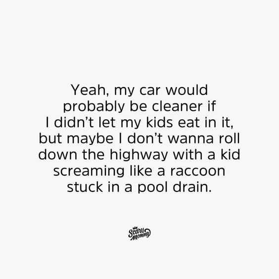 Funny Roll Racoon