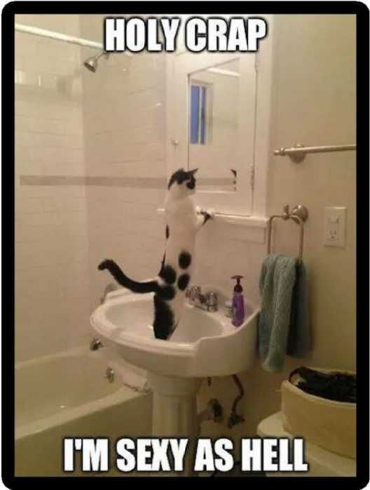 Funny