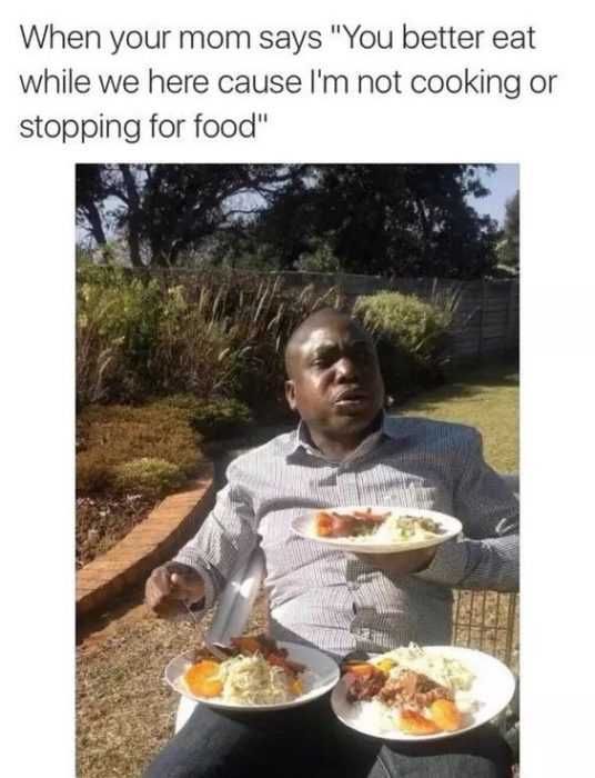 Funny Stopping For Food
