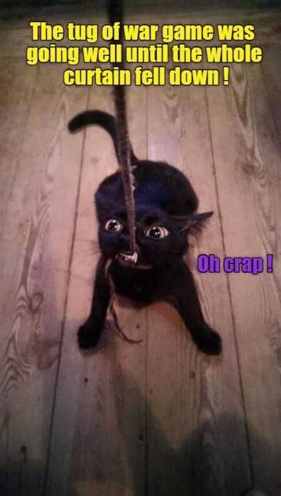 Funny Tug And War