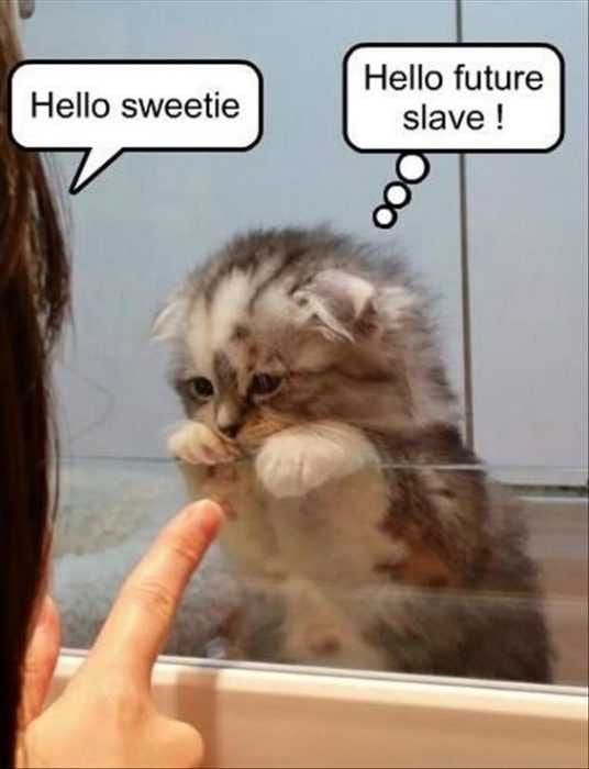 Future Sweetie