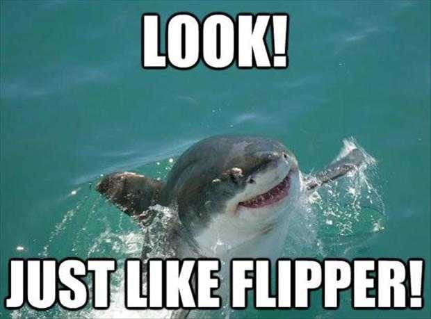 Just Like Flippeer