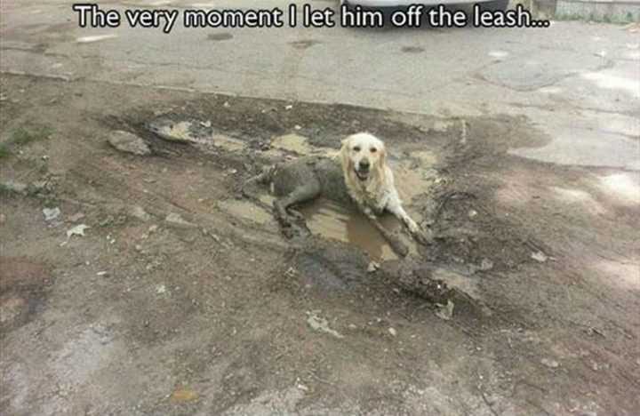 Let Him Off
