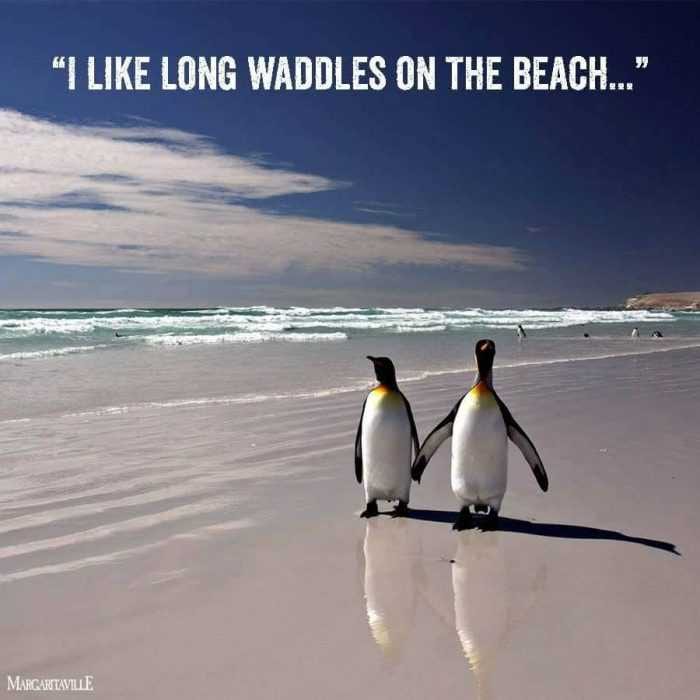 Long Waddles