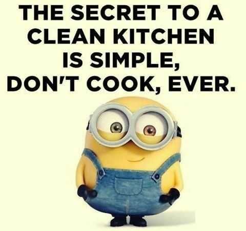 Minion Clean Ever