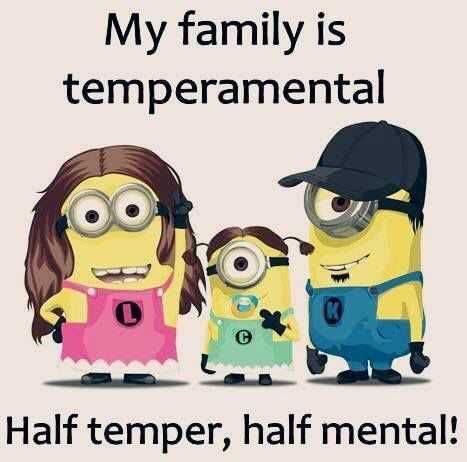 Minion Half Temper