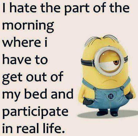 Minion Participate