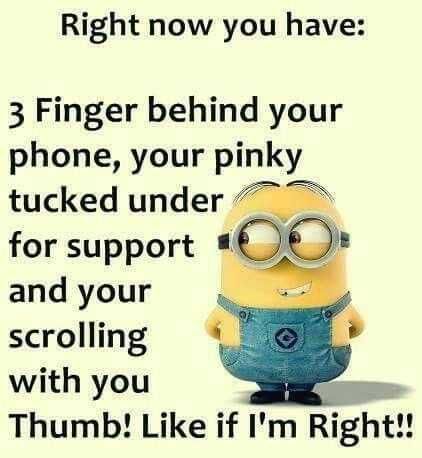 Minion Three Things