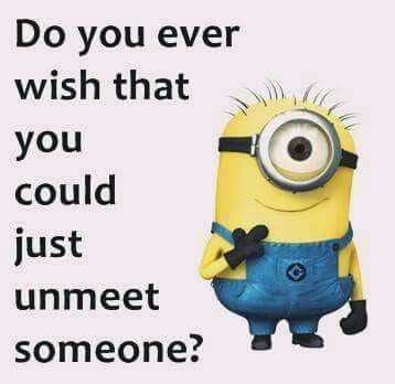 Minion Unmeet