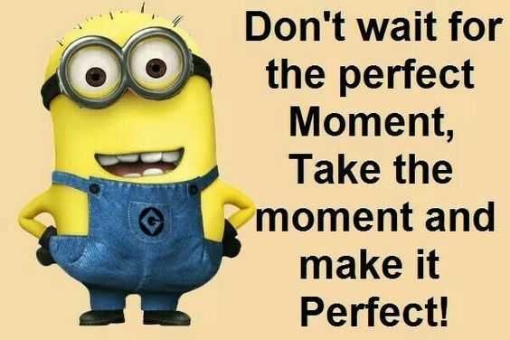 Minion Wait Moment