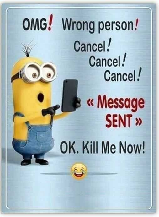 Minion Wrong Person